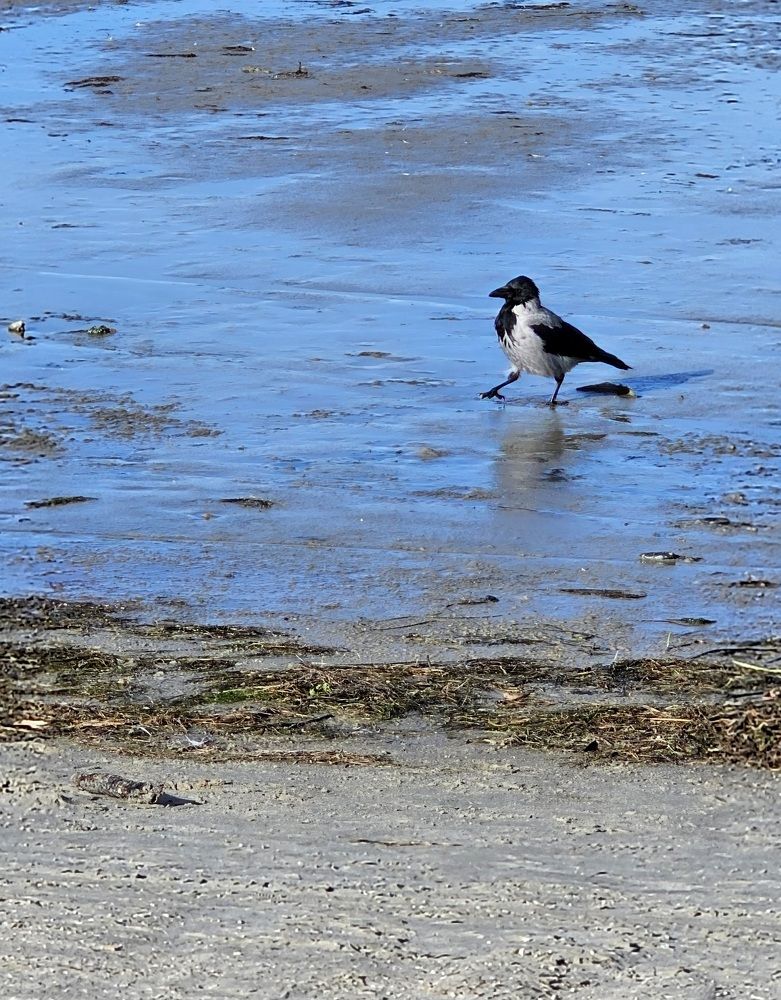 Photograph by Elena Neprosh