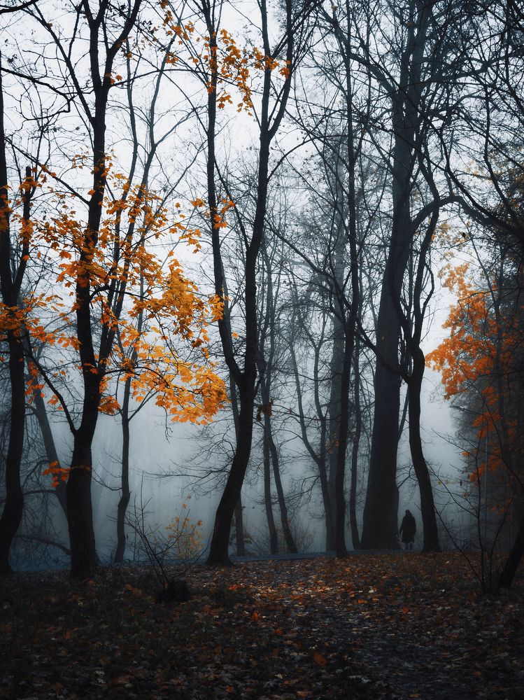 Photograph by Илья Цымбал