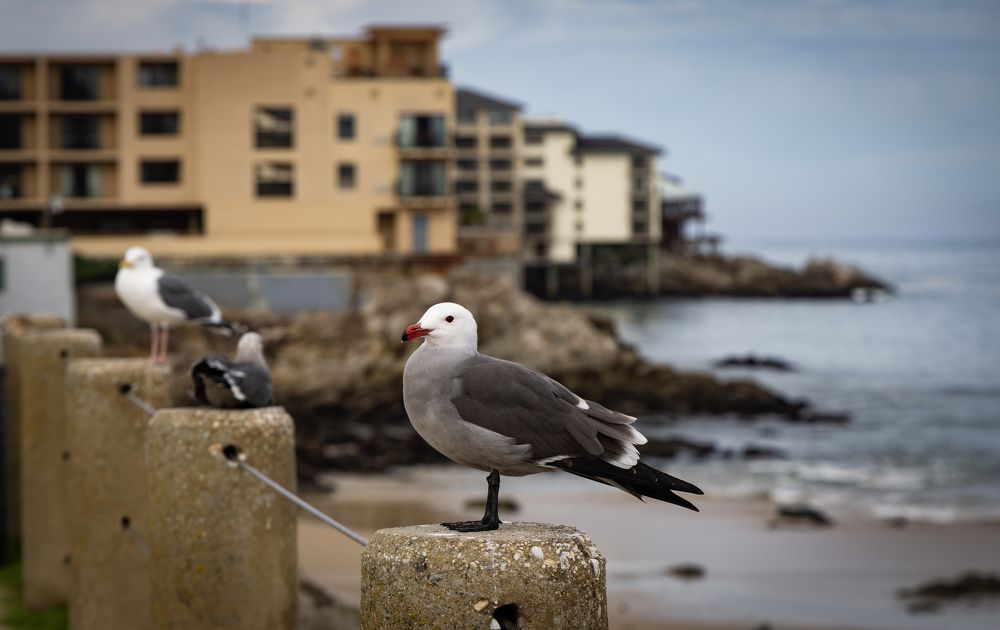 Photograph by pavel chtein