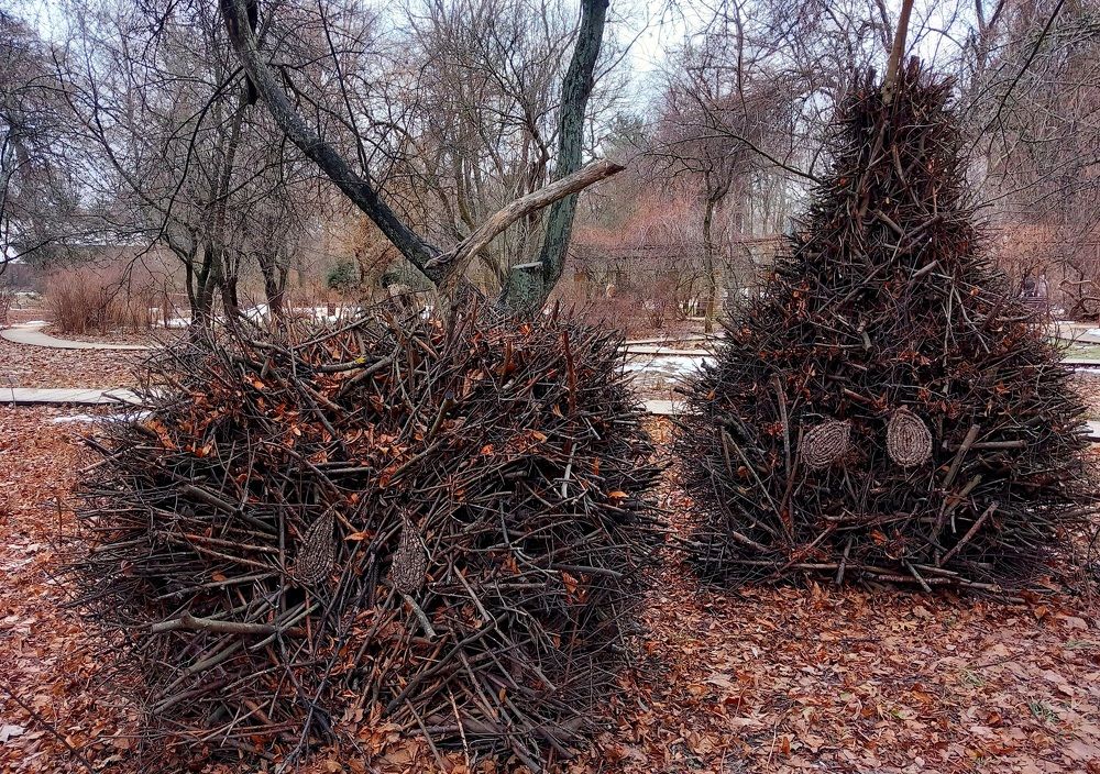 Photograph by Марина Чуева