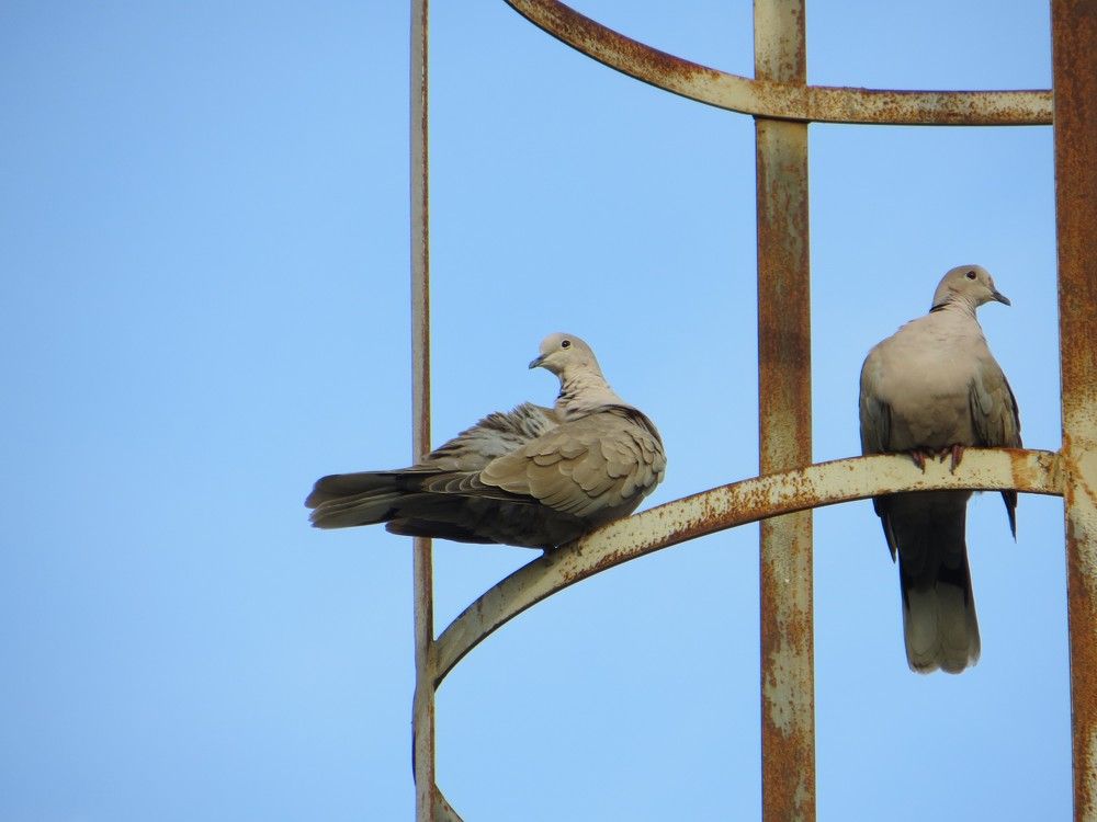 Photograph by Татьяна Поминова