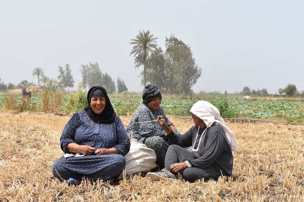 Photograph by  loai zedan