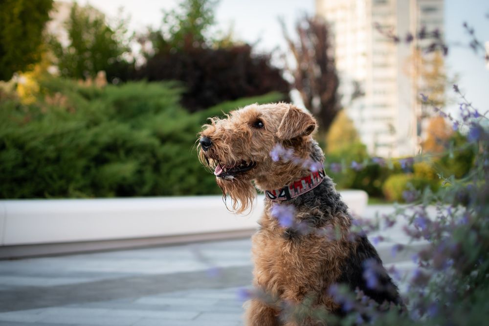 Photograph by кермит