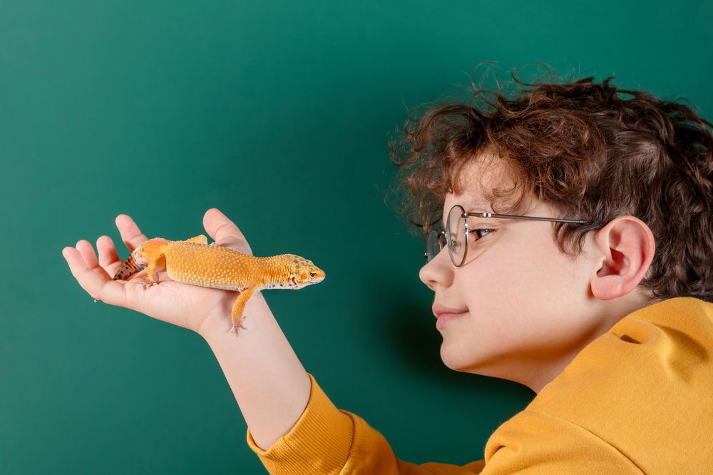 Photograph by Екатерина Рекина