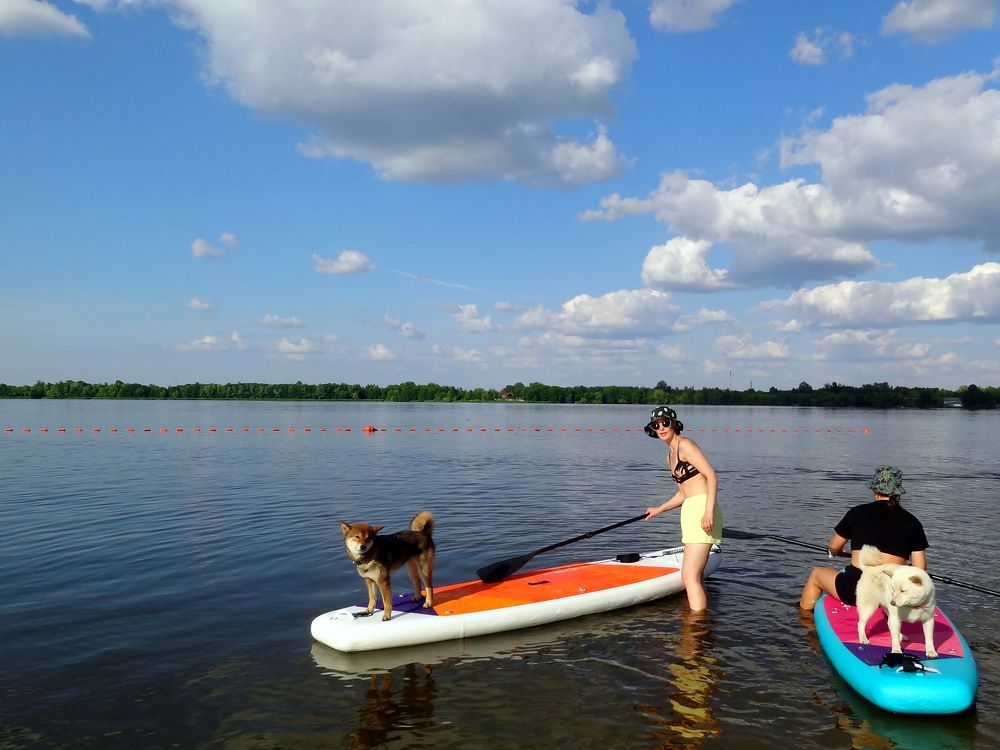 Photograph by Владимир Варава