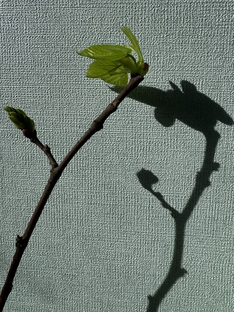 Photograph by Марина Сальникова