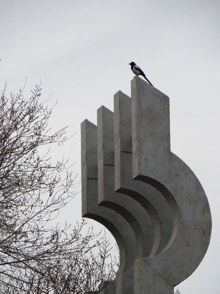 Photograph by Татьяна Поминова