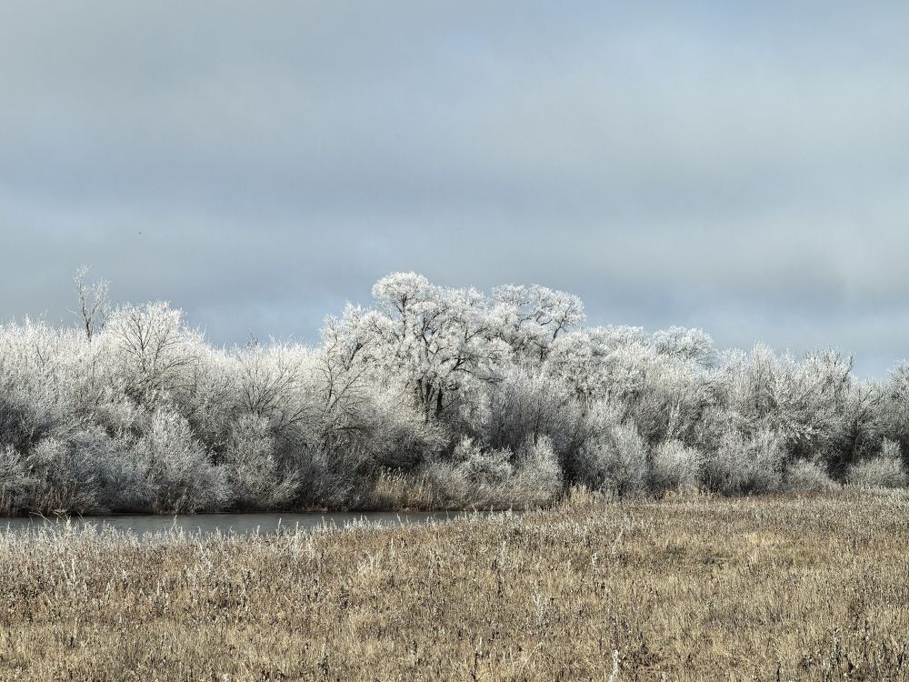 Photograph by Антон Громов