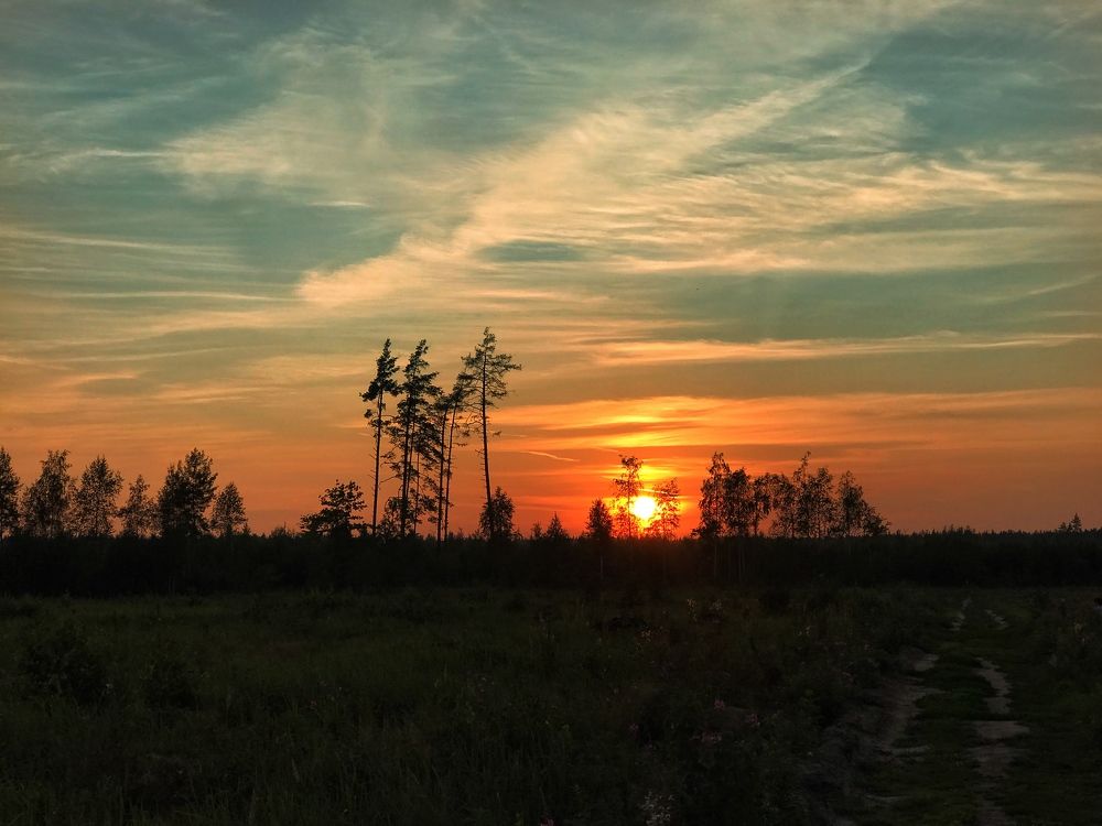 Photograph by Артур Григорян