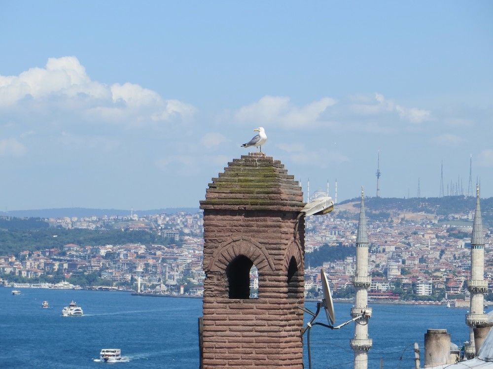 Photograph by Татьяна Поминова