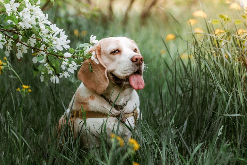 Photograph by Ольга Макарова