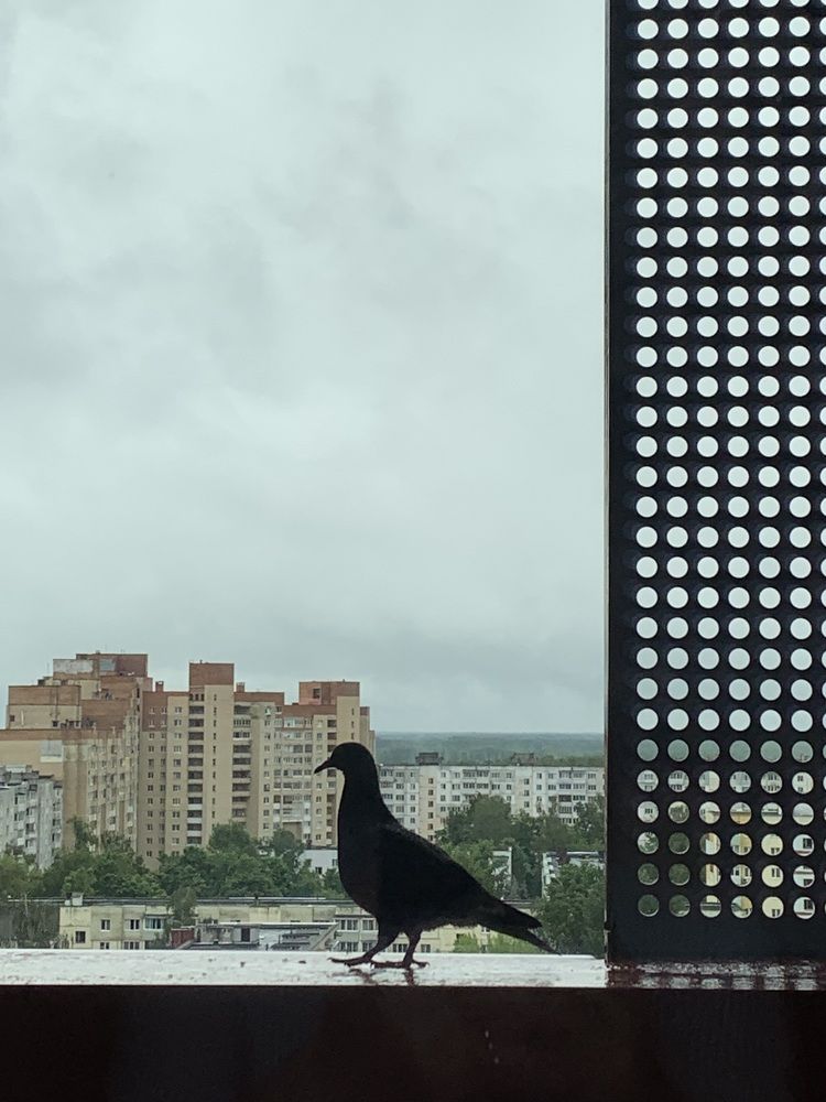 Фотография автора Ирина Шпаковская