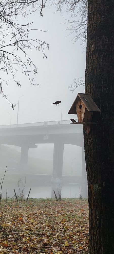 Photograph by Наталья Клячина