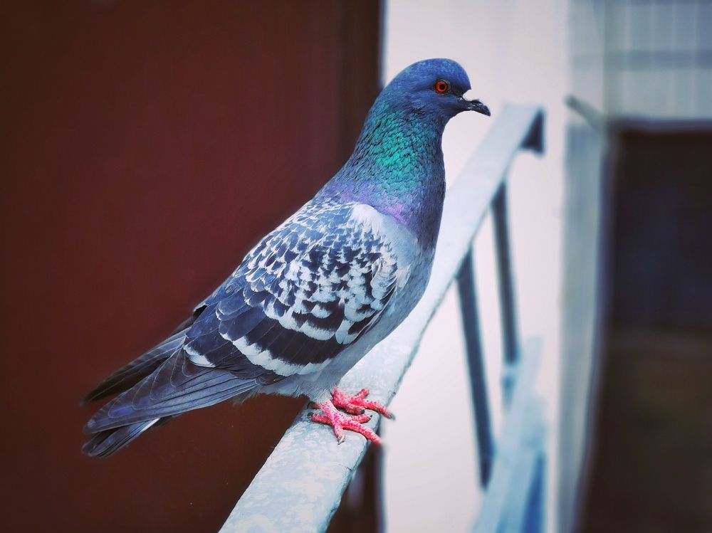 Photograph by Ekaterina Fadeeva