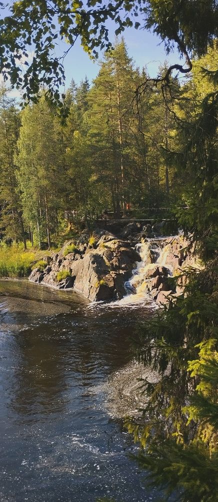 Photo #11777766