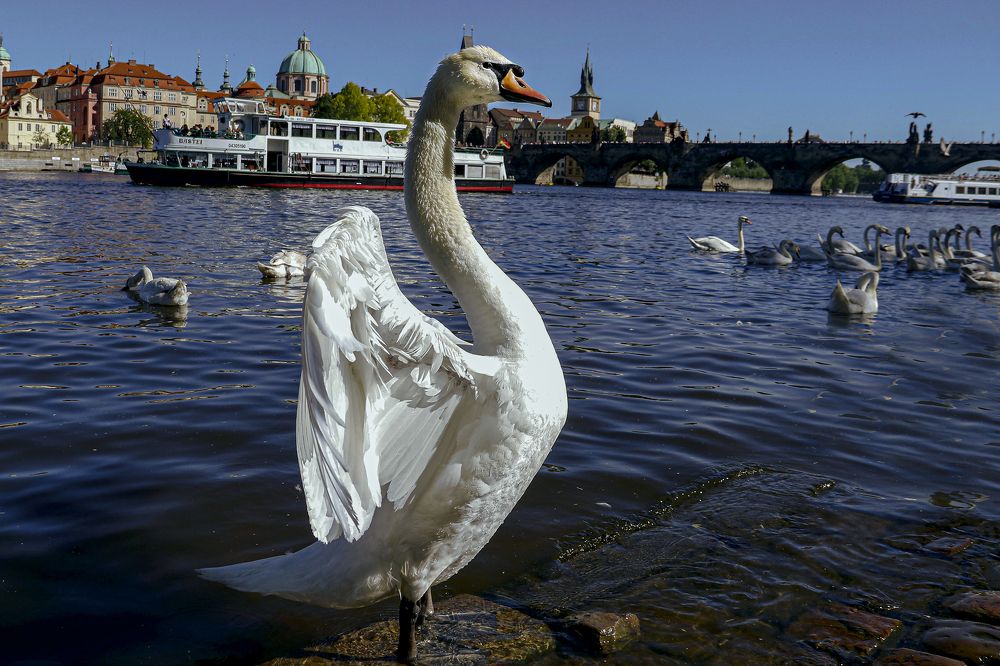 Photograph by Светлана Барабанщикова