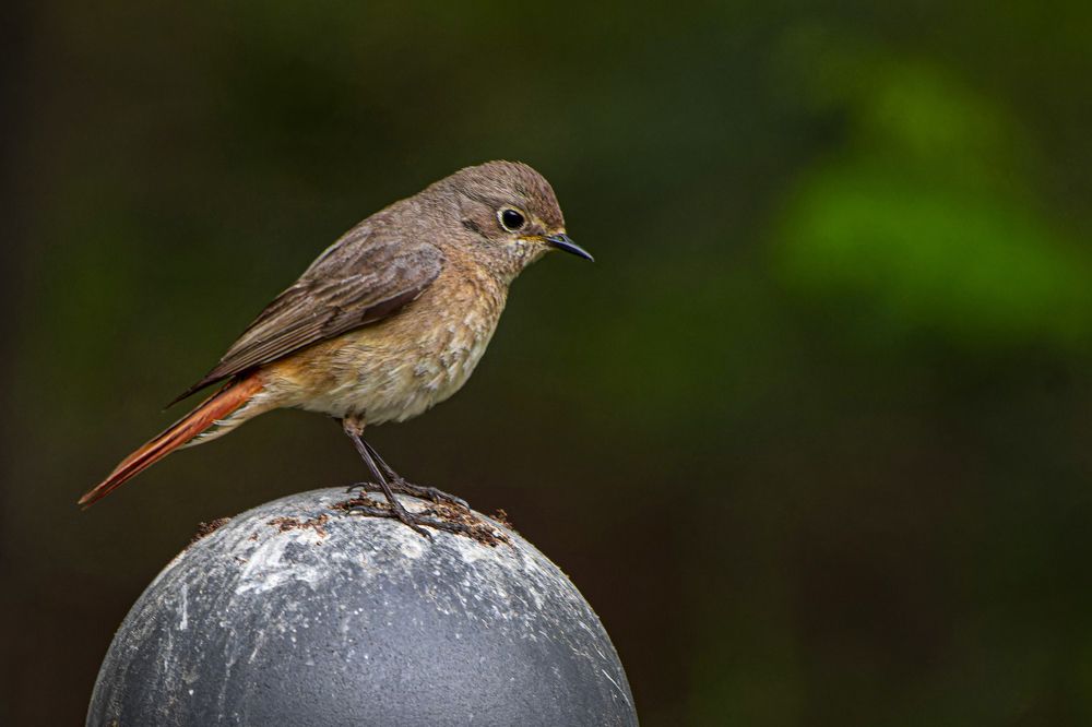 Photograph by Светлана Барабанщикова