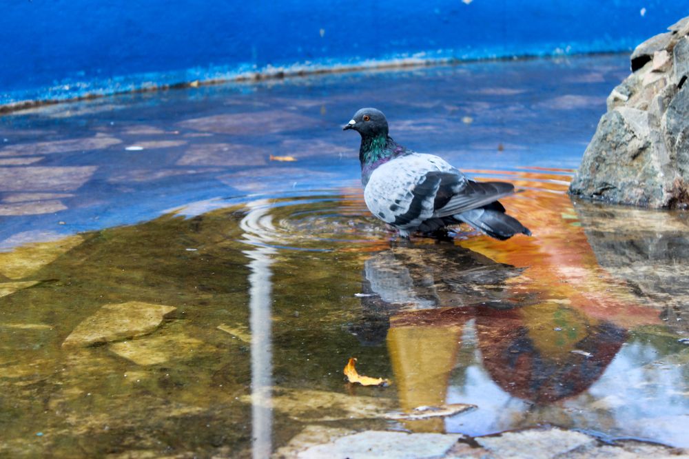 Фотография автора Татьяна Сергиенко