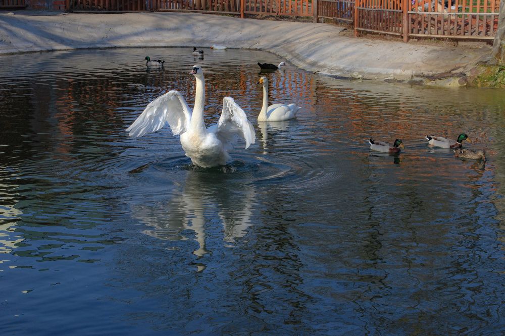 Фотография автора Татьяна Сергиенко