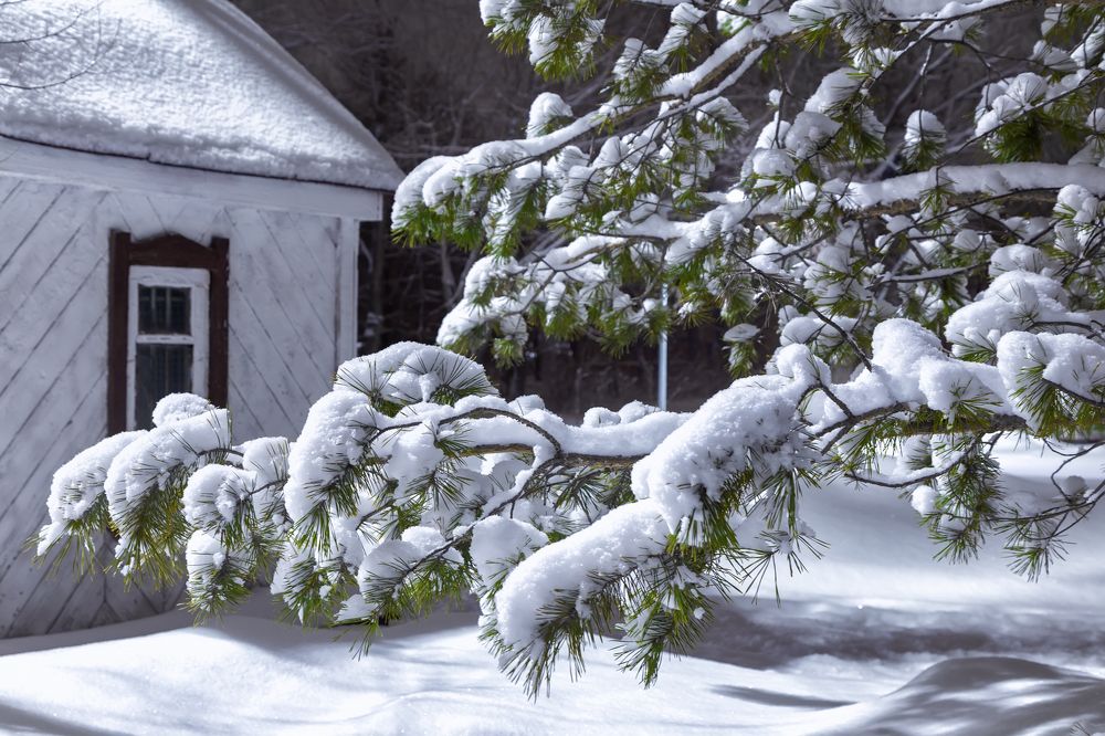 Фотография автора Евгений Бондарь