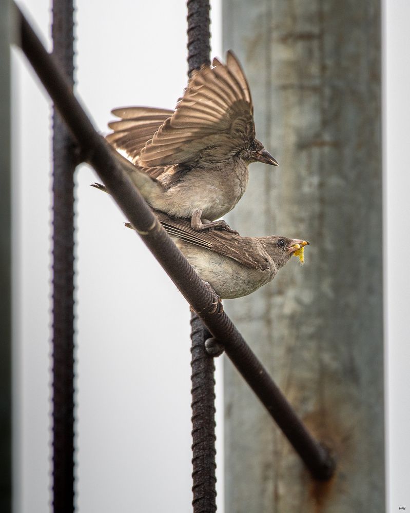 Photograph by Prabhat Ghosh