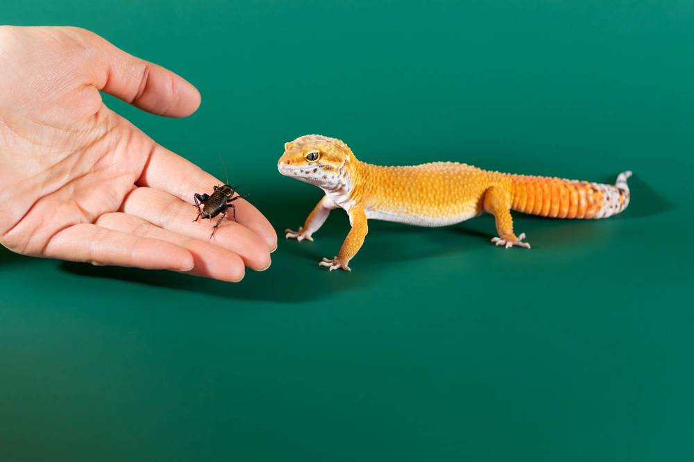 Photograph by Екатерина Рекина