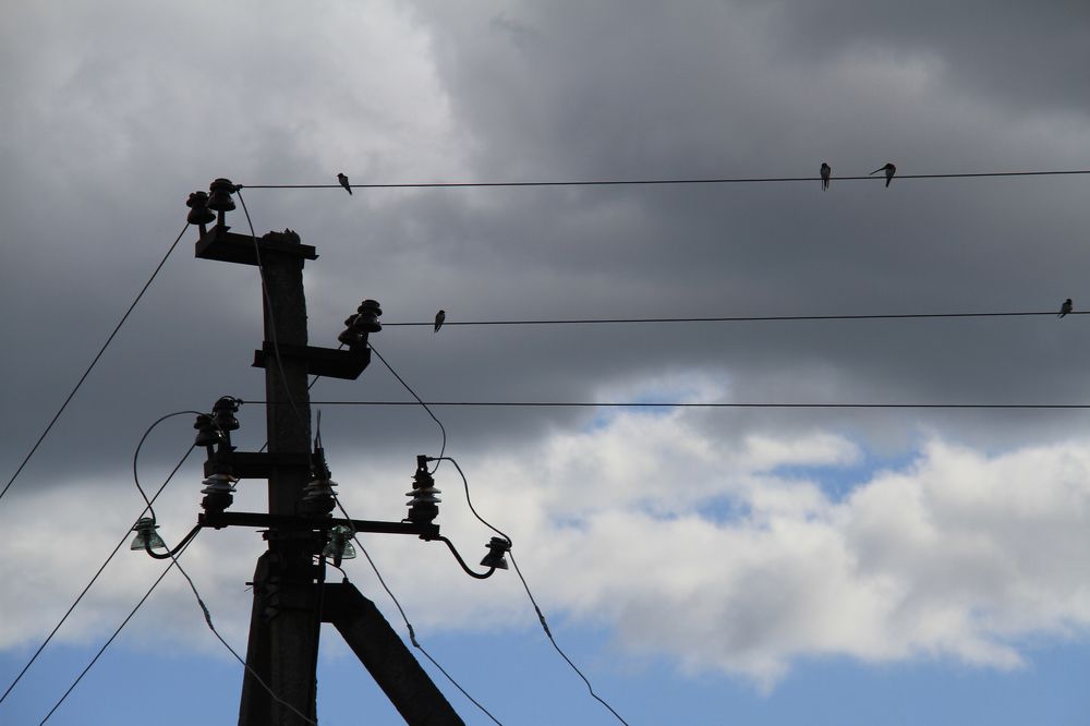 Фотография автора Анастасия Зверева