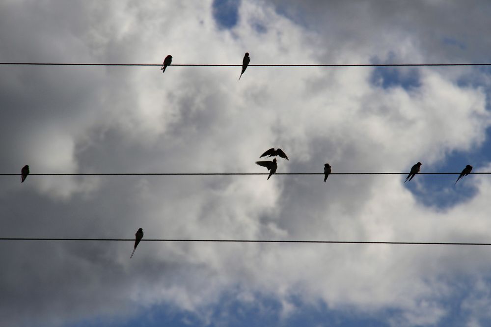 Фотография автора Анастасия Зверева