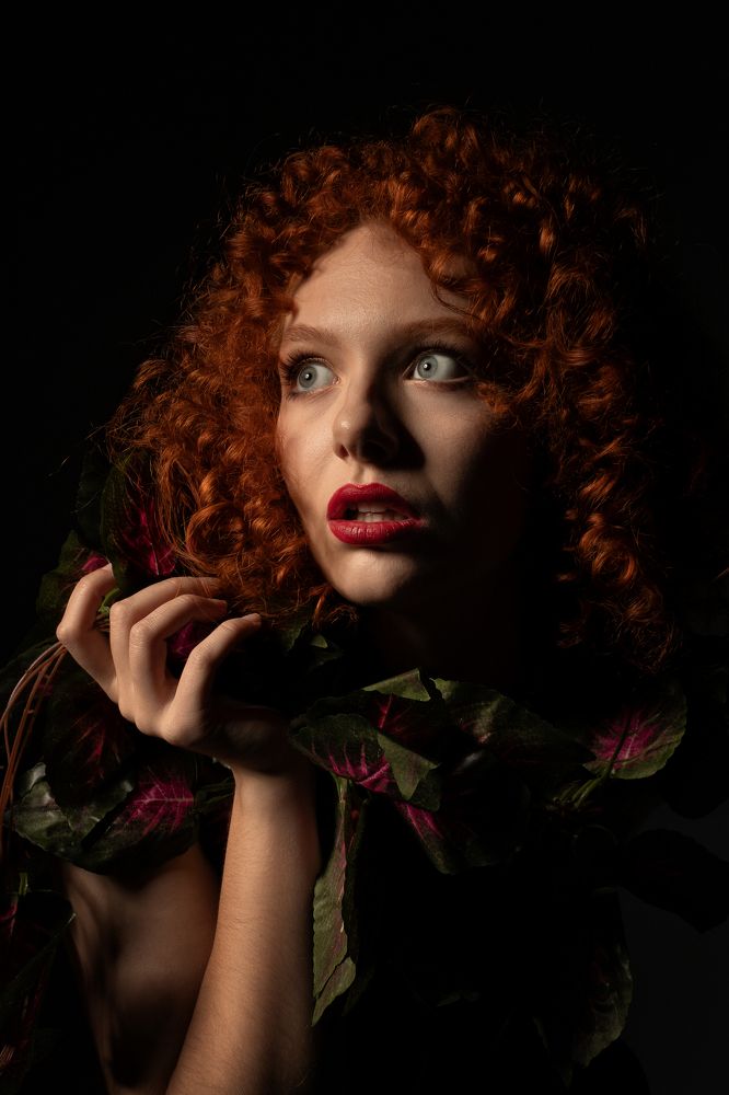 Львица в джунглях