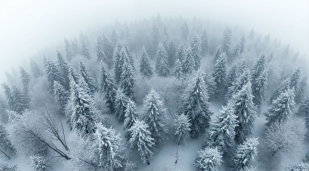 Photograph by Romanov Denis