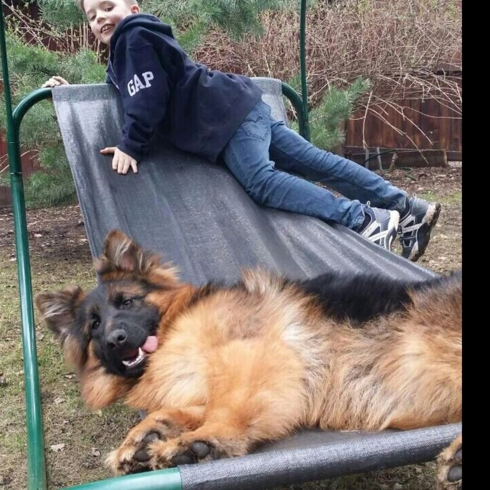 Photograph by Maria Kravchenko