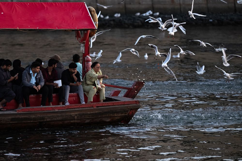 Фотография автора Abie Davies Thekkanath