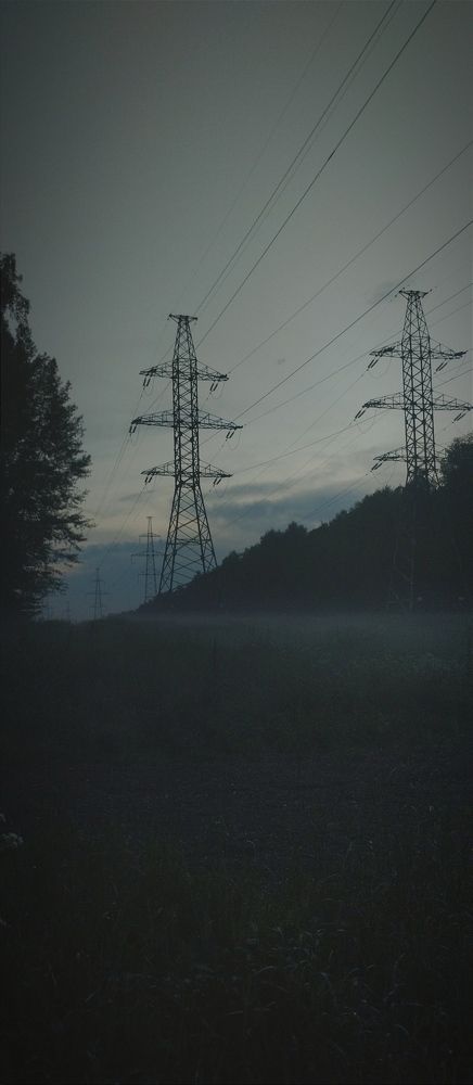 Photo #11777928