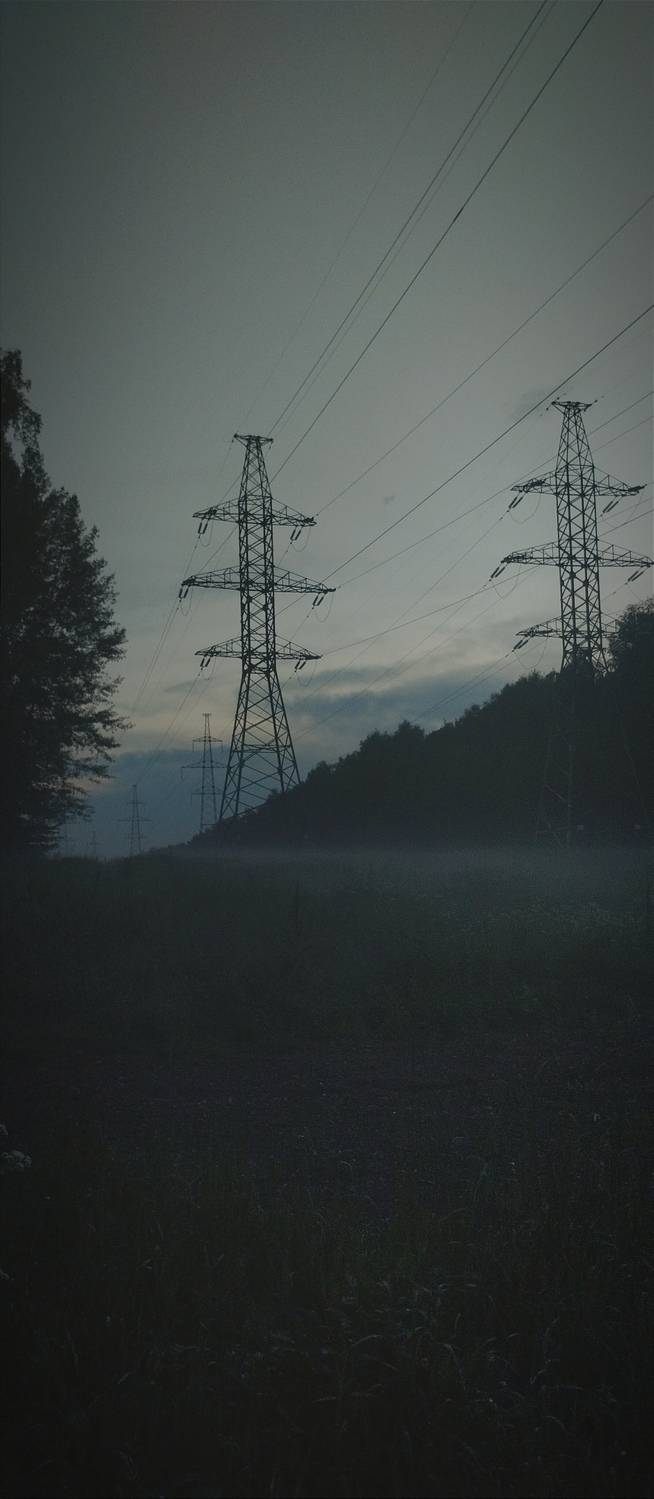 Photo #11777928