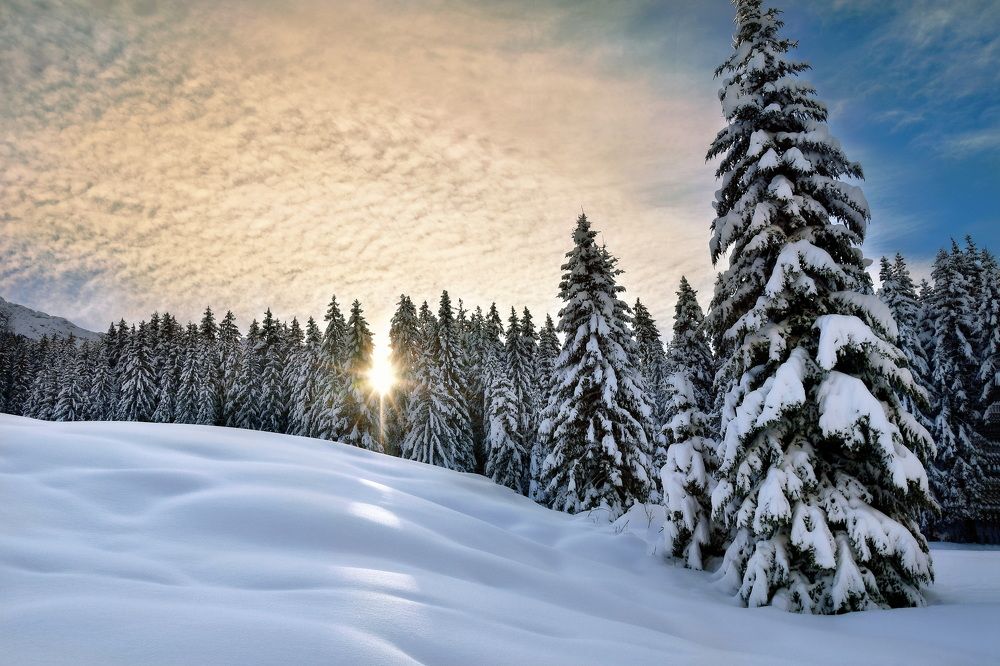 Photograph by Wymann Elena