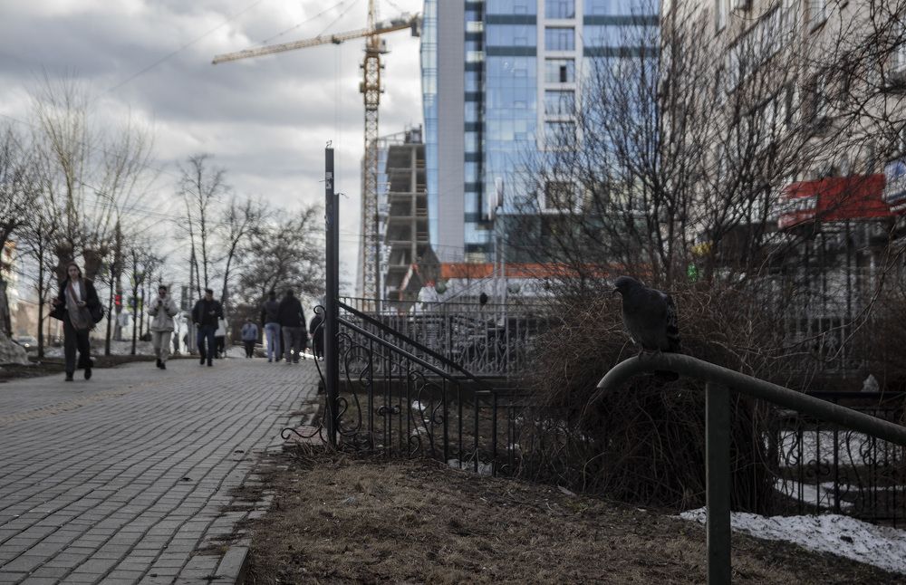 Фотография автора Андрей Рогов