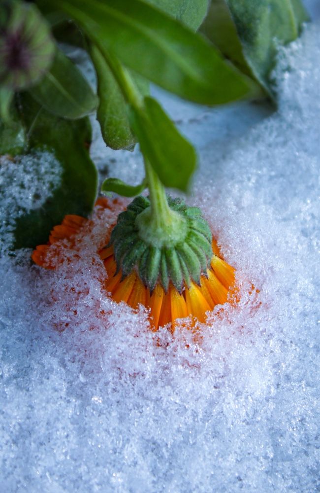 Photograph by Дарья