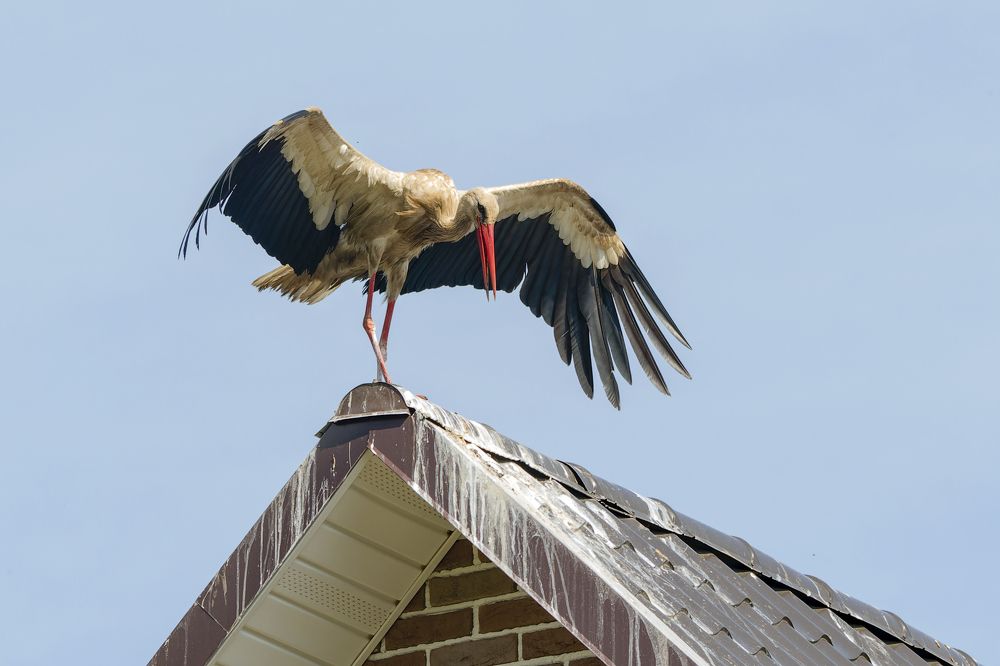 Photograph by Светлана Барабанщикова