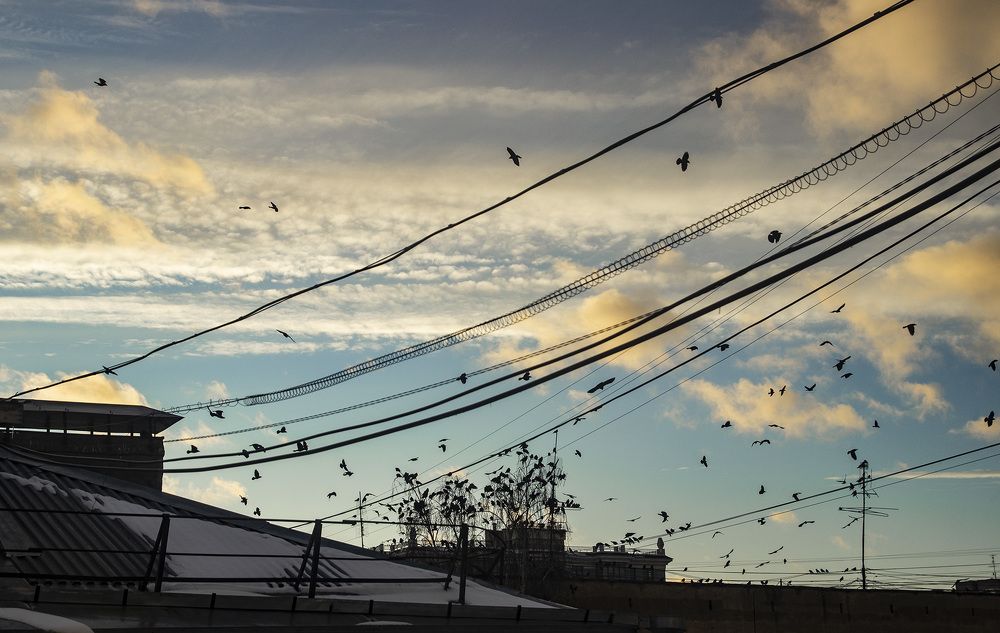 Фотография автора Андрей Рогов