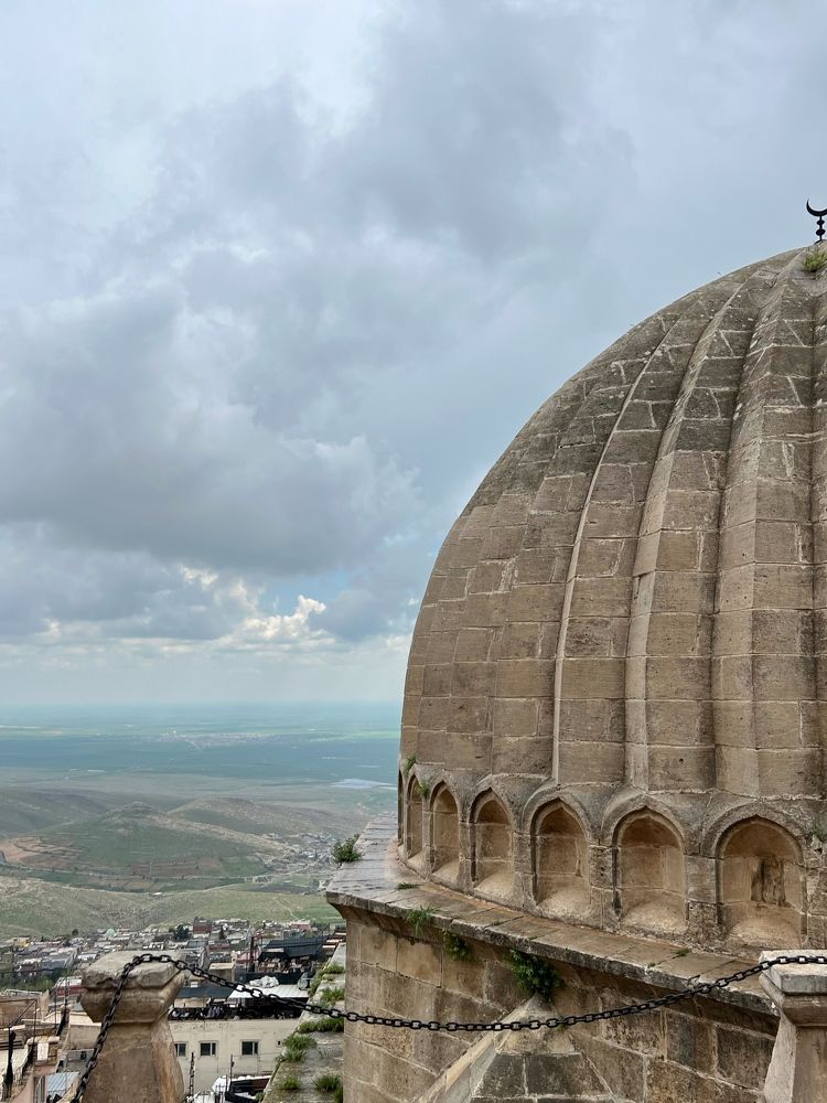 Photograph by Ekaterina Vinogradova