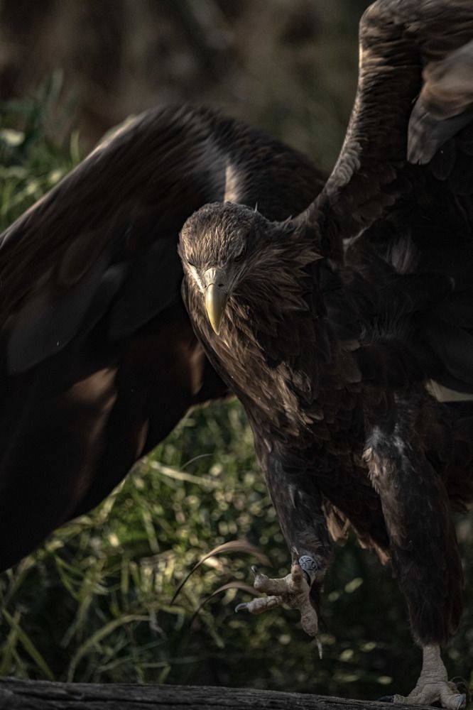 Photograph by Emin Mukhtarov