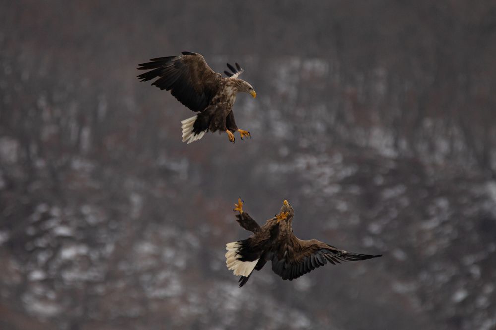 Photograph by Evgenia Loskutova