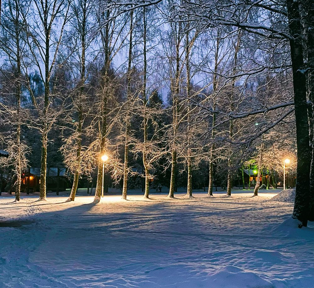 Photograph by Ксения Орлова