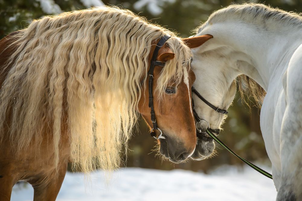 Photograph by александр лялин