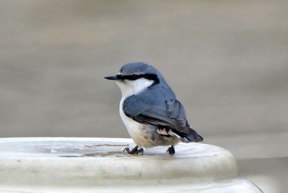 Photograph by Виктория Лобанова