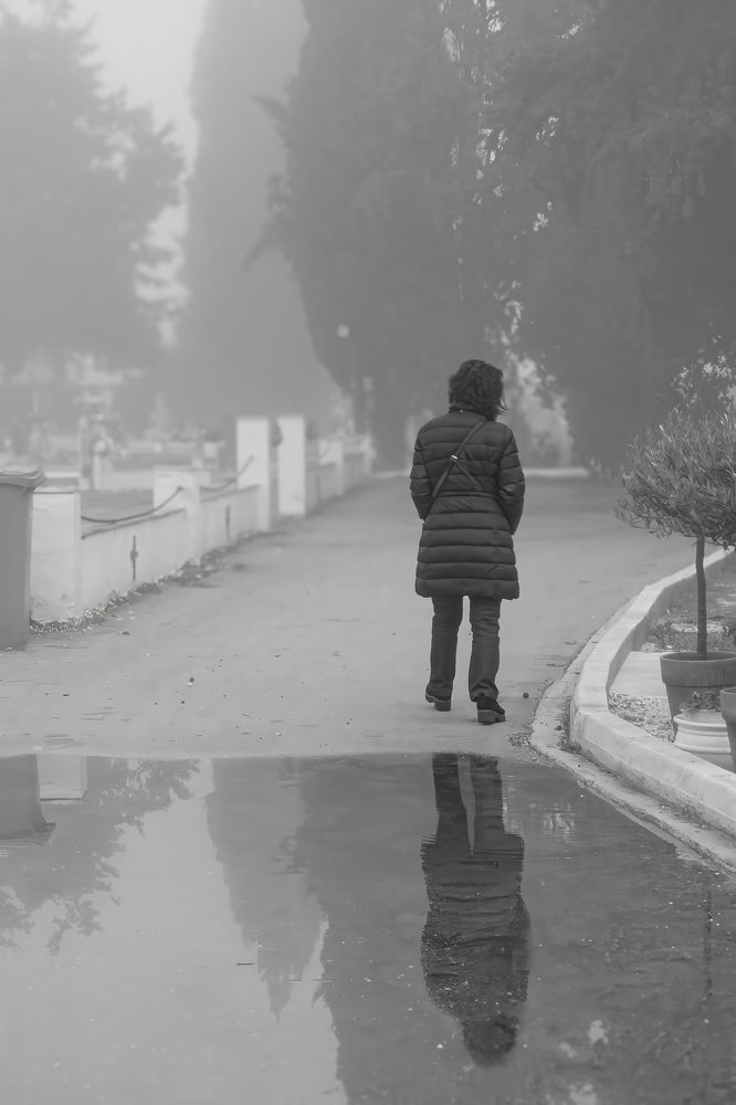 Reflections-on-the-street