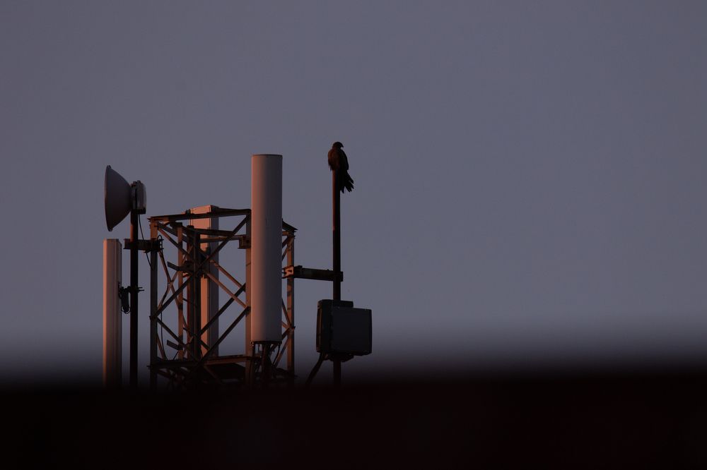 Photograph by Denis Schetinin