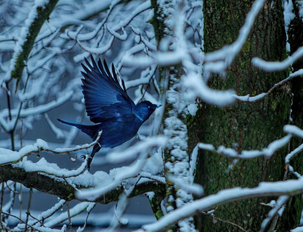 Photograph by Сергей Аллагулов