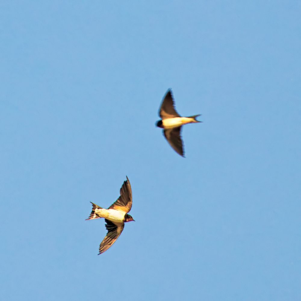 Photograph by Сергей Аллагулов