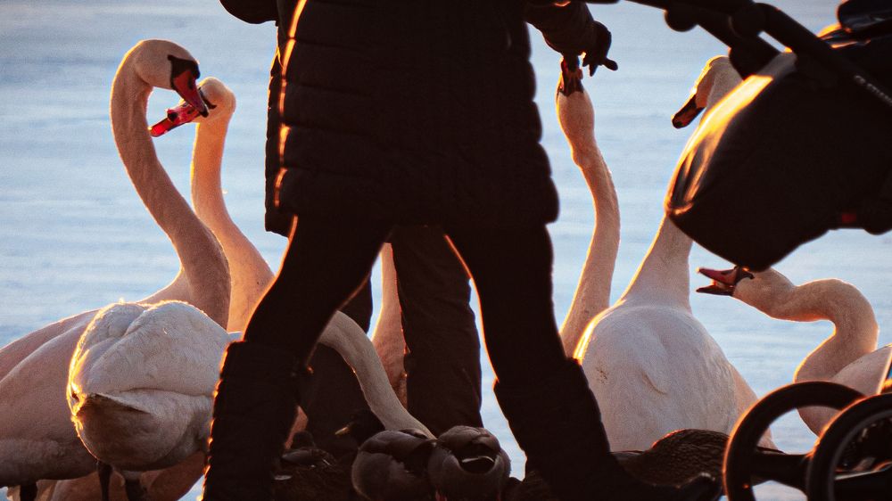 Фотография автора Артур Богородицкий